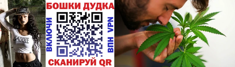 Шишки марихуана сатива где можно купить Дербент